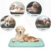 Cat Cooling Mat, Cooling Pad for Dog, Reversible Cool &