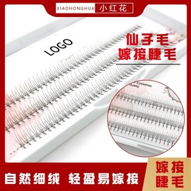 Individual Cluster Eyelashes 0.07, Small Bloom 3-Strand Natural Imitation Extensions Free Size/12mm 10ea