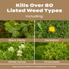 Scotts Turf Builder Weed & Feed for Texas Lawns, Weed