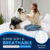 Sunshine Comforts Waterproof Mattress Protector Single, Premium Quilted Soft Single