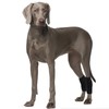 ROZKITCH Dog Leg Protector for Rear Hock Joint or Front