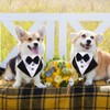 Formal Tuxedo Bandana Wedding Collar With Bow Tie and Neck