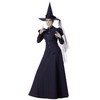 InCharacter Wretched Witch Adult Costume, Small Black