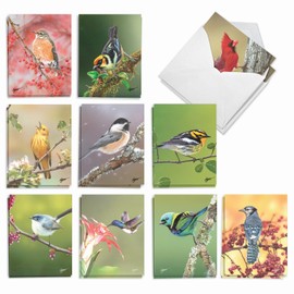 The Best Card Company - 20 Assorted Boxed Thank You Note Cards with Envelopes (4 x 5.12 Inch) - Bird Beauties AM9616TYG-B2x10