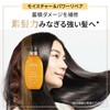 Pantene Miracles Bond Repair Series Moisture & Power Repair Shampoo,
