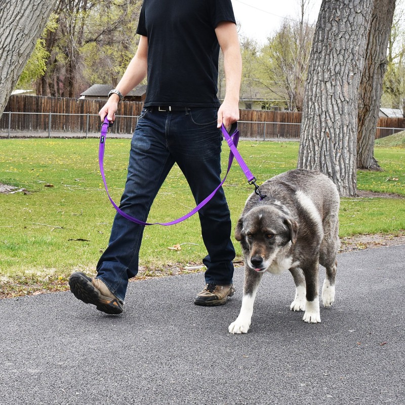 Wagtime Club Soft &Thick Dual Handle 6FT Dog Leash, Premium