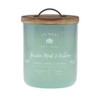 DW Home Garden Mint & Verbena Scented Candle.Medium Single Wick