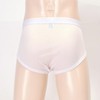 briefs