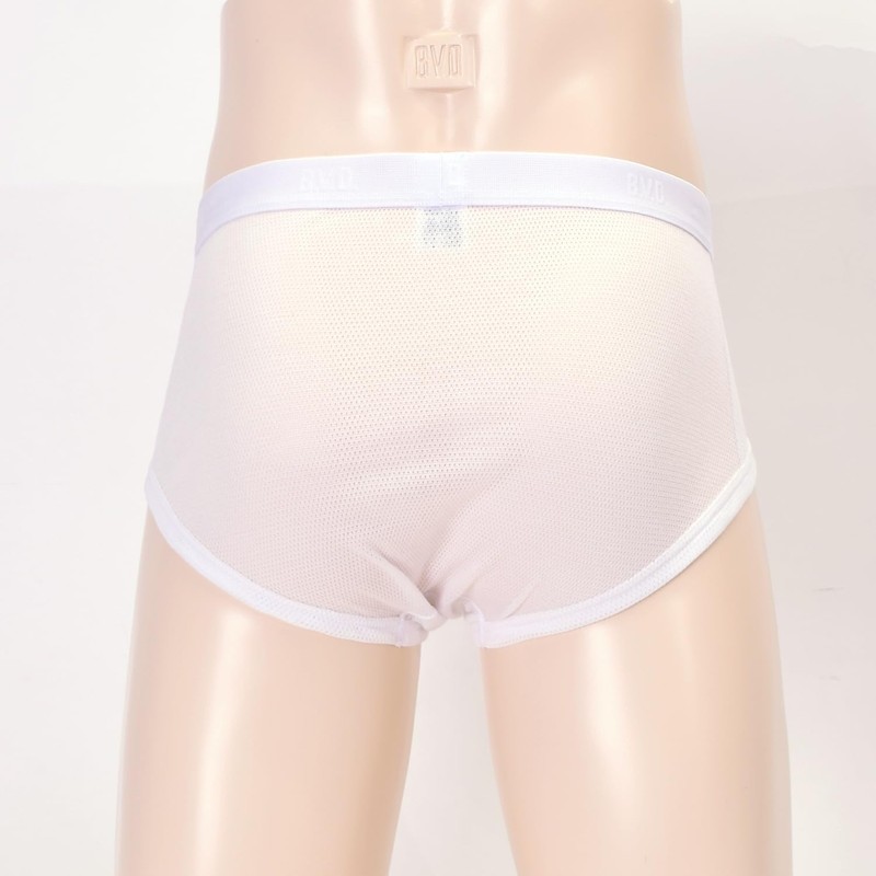briefs