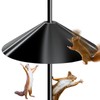 Large Squirrel Baffle for Bird Feeder Pole (19-Inch, Black -
