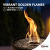 Sterno 12-Pack Fire Pit Gel Fuel - 3 Hours of