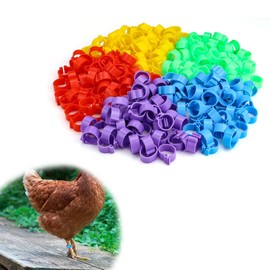 0XBIT Chicken Rings, Pack of 250 Poultry Foot Ring, 16 mm Colour Chicken Leg Rings, Removable Pigeon Rings, Suitable for Poultry, Chickens, Ducks, Pigeons, Bird Leg Rings, Breeding Industry