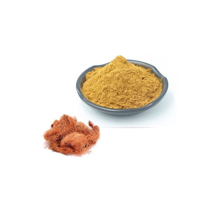 옥수수수염추출분말 100g 샘플 Corn Silk Extract Powder 100g Sample