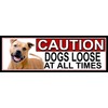 SHAWPRINT American Pit Bull CAUTION DOGS LOOSE AT ALL TIMES