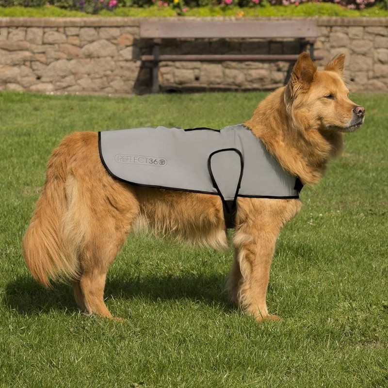 Proviz Waterproof Dog Jacket REFLECT360-100% Reflective and Waterproof (Large)