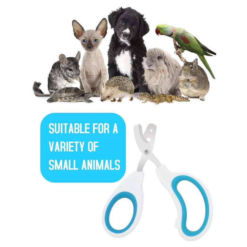 Stainless Steel Bearded Dragon Nail Clippers,Lizard Nail Clippers,Bearded Dragon Supplies,Bearded