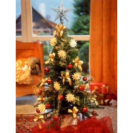 Nyicey Christmas Tree Star Topper, Xmas Tree Topper Glittered 5 Point Star Treetop for Christmas Tree Ornament Indoor Party Home Decoration (Silver, 6inch)