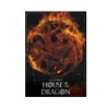Ata-Boy Game of Thrones Magnet, House of The Dragon Flaming