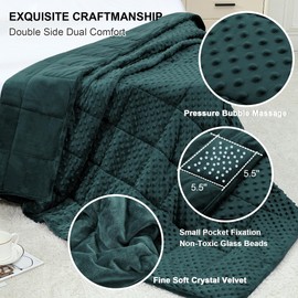 Alomidds Weighted Blanket (60"x80",20lbs Queen Size - Green), Weighted Blankets for Adults, Cooling Breathable Soft and Comfort Minky, Heavy Blanket Microfiber Material with Glass Beads
