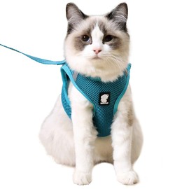 Heywean Cat Harness and Leash - Ultra Light Escape Proof Kitten Collar Cat Walking Jacket with Running Cushioning Soft and Comfortable Suitable for Puppies Rabbits