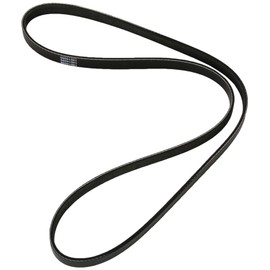 Dayco 5PK1150S V-Ribbed Belt