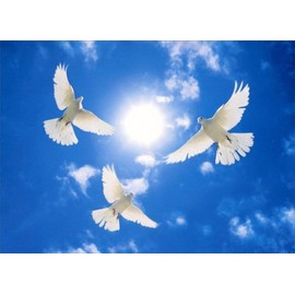 Three White Doves Circling Sympathy Card