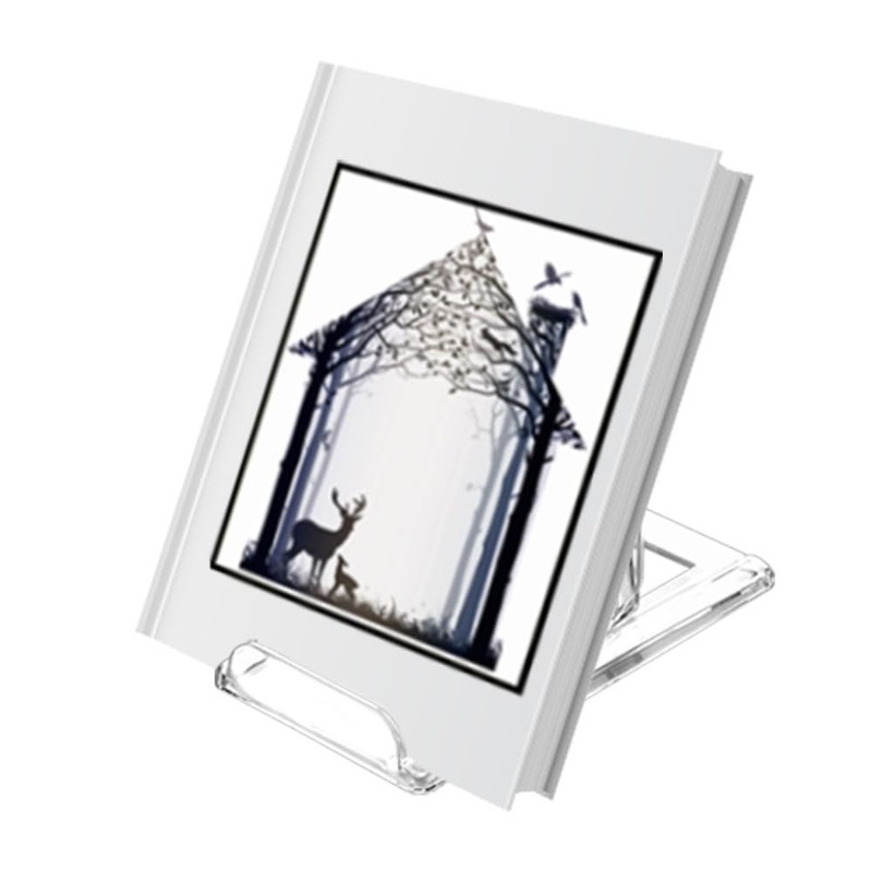 TERDEWE 10 Pack Acrylic Book Stand for Display Adjustable Clear