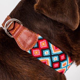 Moots Root Handmade Dog Collar, Large Size, Crafted with Durable Nylon and Reclaimed Leather, Colorful and Unique Design, Ideal for Decoration and Pet Identification.