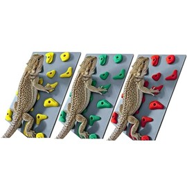 3-Pack Miniature Reptile Rock Climbing Wall – Enclosure Enrichment for Bearded Dragons, Geckos, and Small Pets – Fun Activity and Habitat Décor
