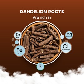 BLUE TEA - Dandelion Root Tea - 100 Count - Pyramid Plant Based Tea Bag | Support Kidney Function & Healthy Digestion | Detox Tea | Herbal Tea - Caffeine Free - Non-Bitter - Mild Flavor | Zipper Pack