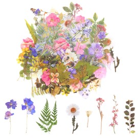 simarro 8 Packs of Transparent Flower Stickers (160 Pieces) Pressed Flower Themed Sticker Set, PET Natural Plant Scrapbook Stickers, for Scrapbooking Supplies, Diaries, Cell Phones, Laptops