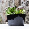 Polnix Keramik Blumentopf Piano Weiss Pflanzkasten Blumenschale Schale oval Länge
