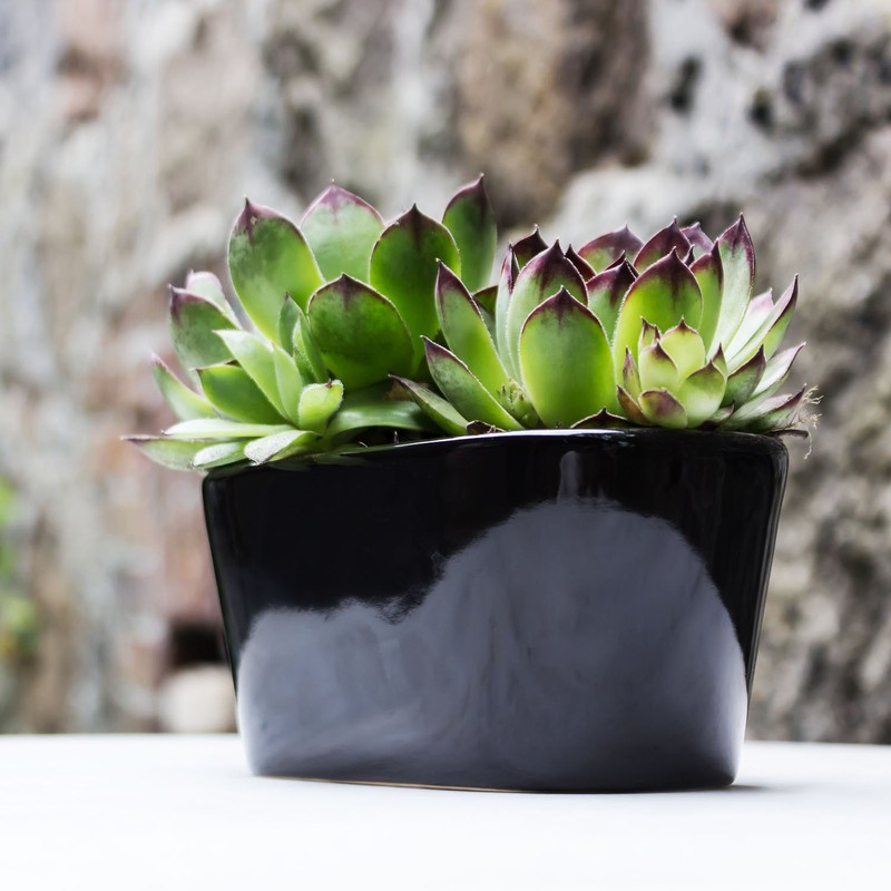 Polnix Keramik Blumentopf Piano Weiss Pflanzkasten Blumenschale Schale oval Länge