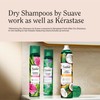 Suave Bamboo & Hibiscus Volumizing Dry Shampoo, Infused with 100%