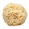 LATHER Natural Sea Wool Sponge