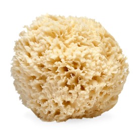 LATHER Natural Sea Wool Sponge