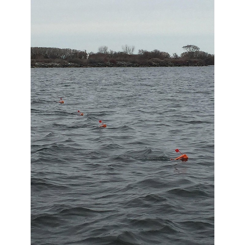 Gator Board Planer Board