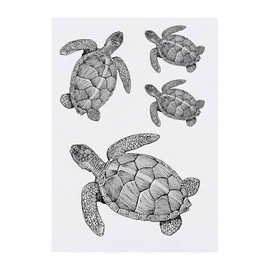 Azeeda 4 x 'Meeresschildkröte' Temporäre Tattoos - Wasserfest, Hautfreundlich & Ungiftig · Transfers in Verschiedenen Größen (TO00075510)