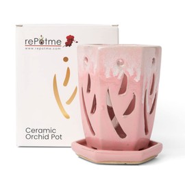 rePotme 4 x 6 inch Ceramic Orchid Pot (Cream Over Cotton Candy) - Hexagon Orchid Pot with Holes