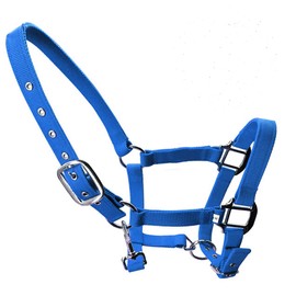 tooloflife Foal Headcollar Pony Donkey Padded Nylon Medium Blue