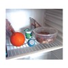 Two Anti-Odour Balls for the fridge
