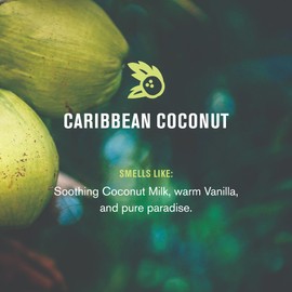 Every Man Jack Cold Processed Mens Bar Soap - Tropical Caribbean Coconut Scent - Deeply Cleans & Hydrates w/Naturally Derived Ingredients - (3 Pack)