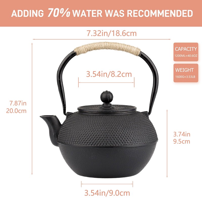 SECHUDO Japanese Tetsubin Cast Iron Teapot Tea Kettle pot with