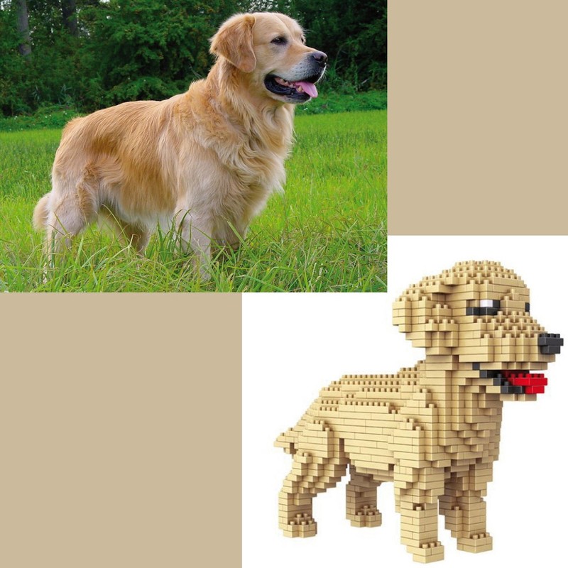 Atomic Building Golden Retriever dog. Figure to assemble with nanoblocks.