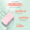 Spongeables Body Wash in a 20+ Wash Sponge, Sweet Grapefruit,