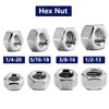 1/4-20 Hex Nuts 100Pcs 304 Stainless Steel 18-8, Full Thread,