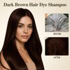 Dark Brown Hair Dye Shampoo 3 in 1 for Gray