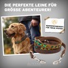 ALTEZAR Dog Lead Leather Wide Tribal Handmade in Mexico for