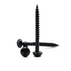 Hippo Hardware (4.8mm X 50mm) Black Japanned Slotted round Dome