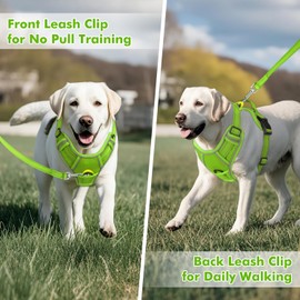 Joytale Step-in No Pull Dog Harness for Small Dogs with 2 Leash Clips, Reflective Pet Vest with Easy Control Handle, Adjustable Soft Padded Harness for Walking and Training, Green,S